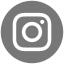 Instagram Icon